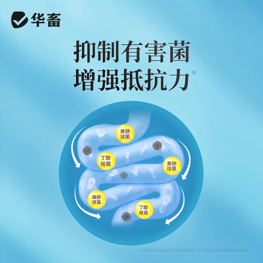 【积分兑换-王牌催肥】华畜暴力促长王1kg 强烈诱食促生长 提早出栏多赚钱 商品图3