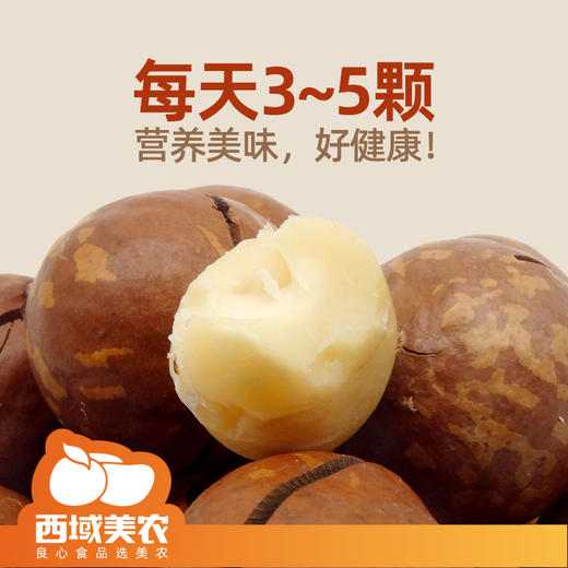 西域美农 原味奶香夏威夷果 商品图4