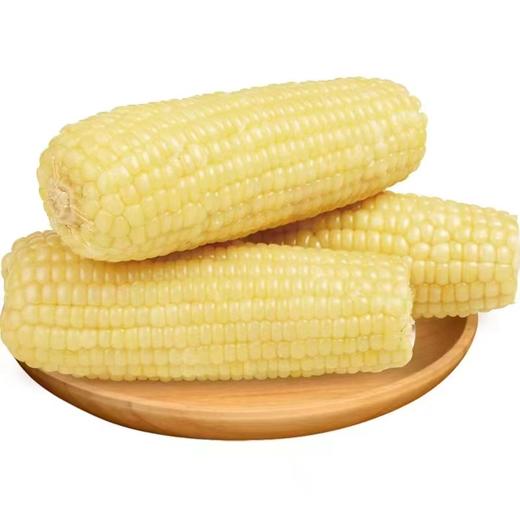 糦宝记富硒玉米5穗/袋（单穗220g左右） 商品图0