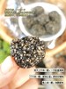 食补好选择！【无糖芝麻丸】以黑养黑 江西黑芝麻 浓浓的芝麻醇香 口感甜糯 真材实料 老少皆宜 馋嘴小零食~ 商品缩略图6