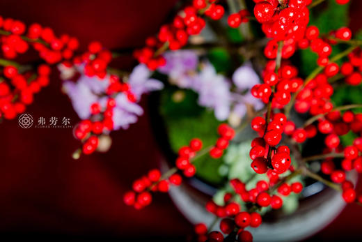 屋肥家润 商品图3