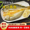 【野生海产】冰川黄鱼200-300g 近南极海域 商品缩略图0