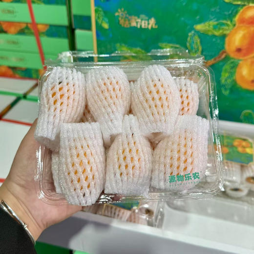 云南长虹9成树熟枇杷，皮黄，肉黄，浓甜，几乎无酸，果味浓！
⚠️不是水啧啧没味道的那种！
⚠️不是一口酸倒牙的那种！500克/盒 商品图5