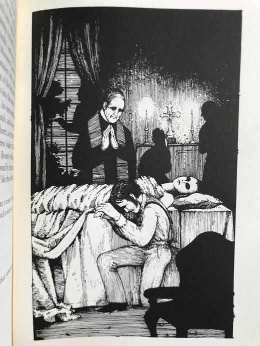 限量版！福楼拜《包法利夫人》 配多幅精美插图 豪华皮装32开 商品图12