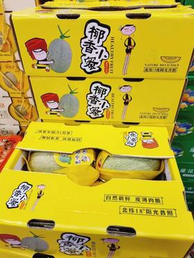 椰香晓蜜瓜一箱