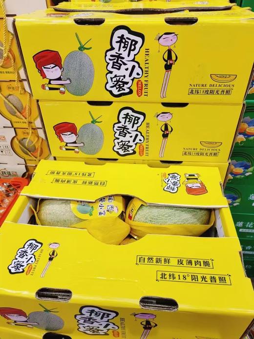 椰香晓蜜瓜一箱 商品图0