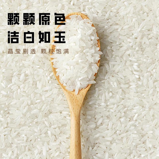 山萃林_吉林圆粒米10斤 商品图1