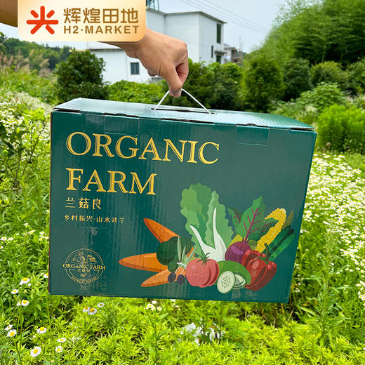 兰菇良应季生态蔬菜盲盒5斤/7斤礼盒装 商品图1