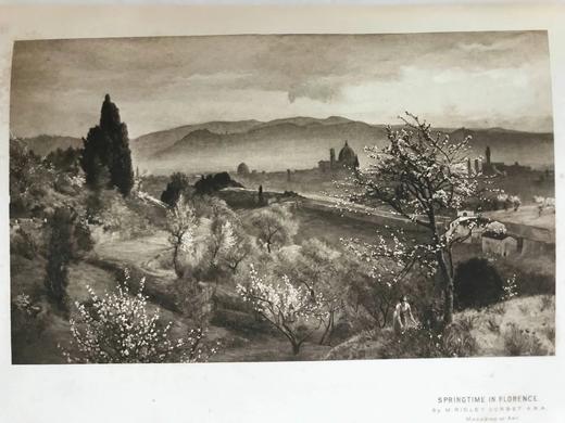 1903年 艺术杂志 数百幅精美插图 真皮精装大16开 商品图10