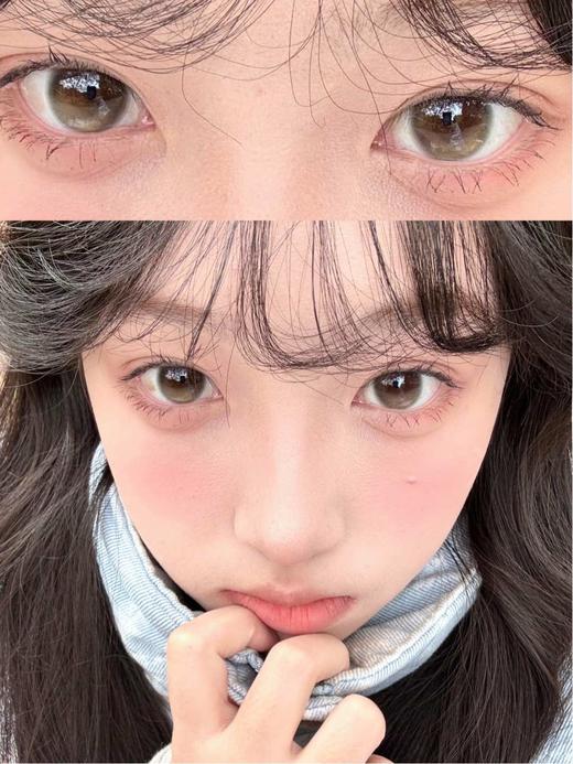 Bollycon 半年抛 流星巴斯克 直径14.5mm着色13.7mm 商品图0