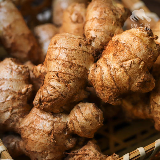 生态大黄姜（老姜）| 合作生产* Ecological rhubarb ginger | Partner Production 商品图0