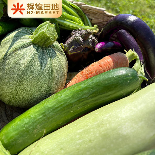 兰菇良应季生态蔬菜盲盒5斤/7斤礼盒装 商品图2