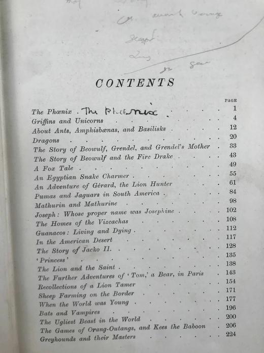 1899年 安德鲁·朗格《红色动物故事书》 数十幅精美插图 漆布精装32开 商品图4