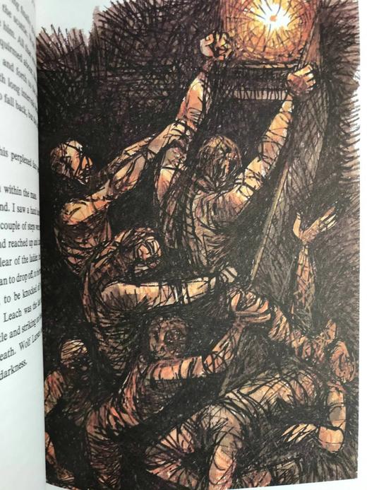 杰克·伦敦《海狼》 数十幅插图（含多幅彩色） 豪华皮装16开 商品图6