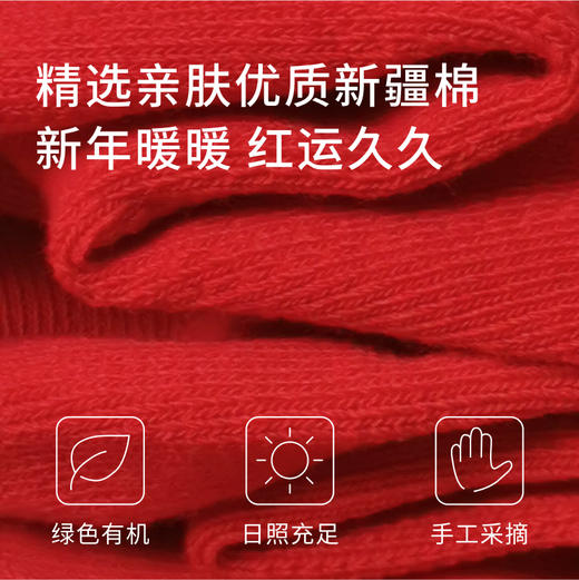 【小飞专属】红袜子本命年男女大红色2025蛇年新款情侣一家送人礼盒防臭不掉色 商品图2