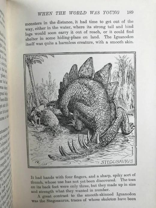 1899年 安德鲁·朗格《红色动物故事书》 数十幅精美插图 漆布精装32开 商品图14