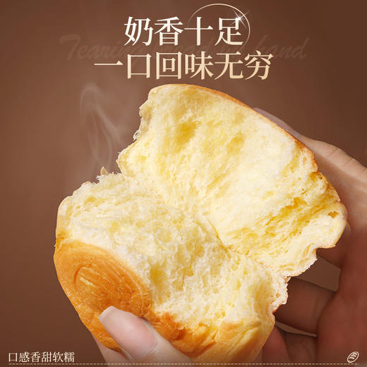 潘祥记官方旗舰店480g[奶香手撕面包] 商品图2