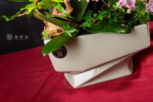 嘉门福喜 商品图2