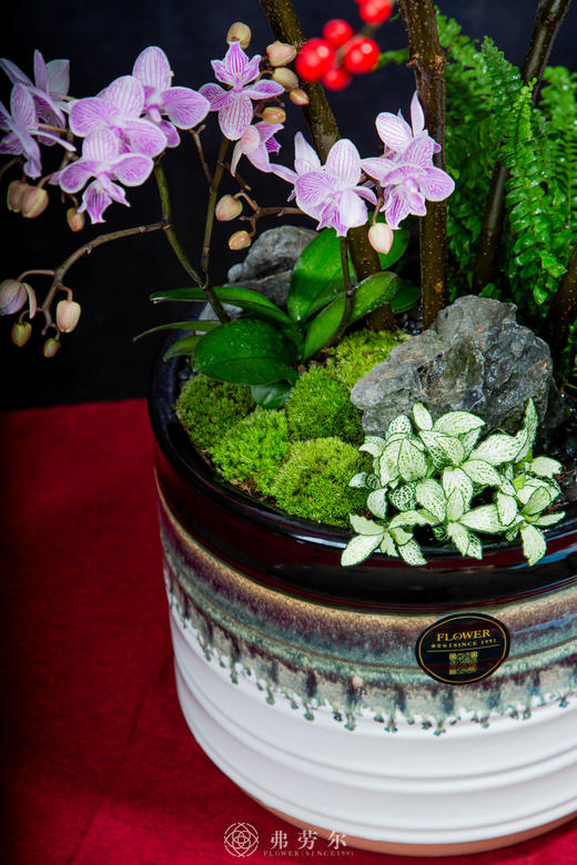 屋肥家润 商品图2