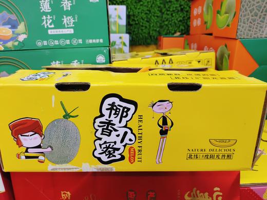 椰香晓蜜瓜一箱 商品图1