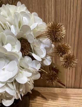 日本原装进口万古烧砂锅老式耐高温燃气土锅家用煲汤米饭锅和蓝咖啡杯碟