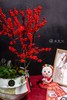 25年 年宵花 组合植物--冬青 商品缩略图1