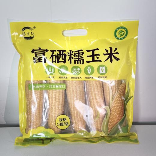糦宝记富硒玉米5穗/袋（单穗220g左右） 商品图2
