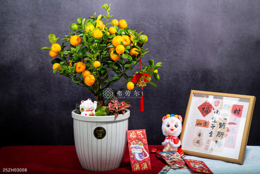 富贵招财 商品图1