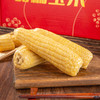 青岛高叶酸甜糯玉米8枚/袋（单枚220g左右） 商品缩略图6