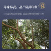陈升号 2022年易武印象357g*1饼（生茶） 商品缩略图1
