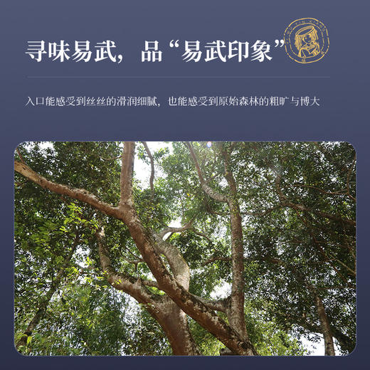 陈升号 2022年易武印象357g*1饼（生茶） 商品图1