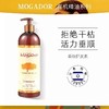 【伊能静推荐】以色列茉歌mogador摩洛哥洗发水/护发油 商品缩略图6