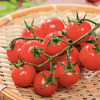 MM 山姆 串收小番茄 1kg 商品缩略图9