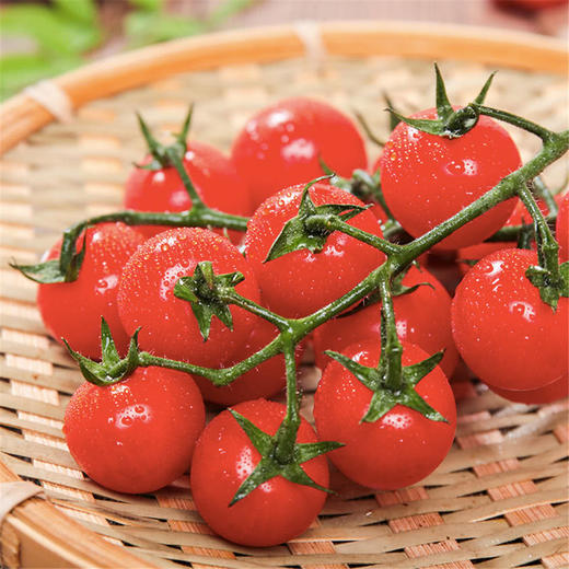 MM 山姆 串收小番茄 1kg 商品图9