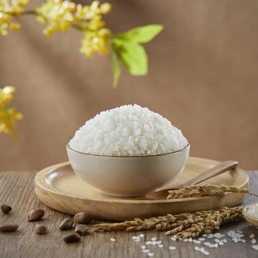 MM 山姆 金龙鱼 生态盘锦大米 10kg（5kg*2） 商品图3