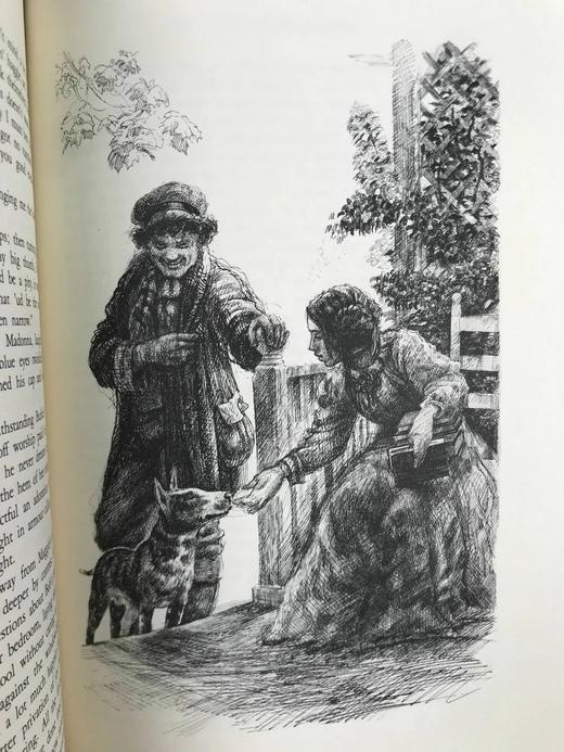 限量版！乔治·艾略特《弗洛斯河上的磨坊》 配多幅精美插图 豪华皮装18开 商品图11