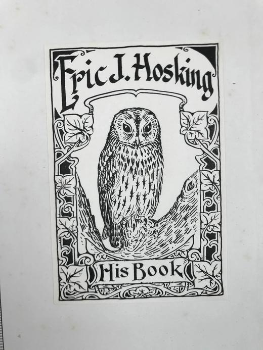 含藏书票！1938年 肯尼亚殖民地与乌干达保护国鸟类图鉴（全3卷）  24幅彩色241幅黑白插图 漆布精装16开 商品图2