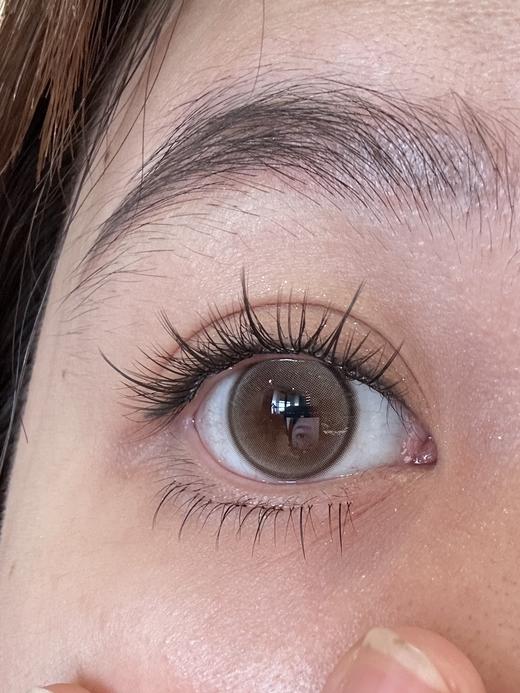 KiraFairy半年抛Sagittorius Hozel--水光驼铃 商品图4