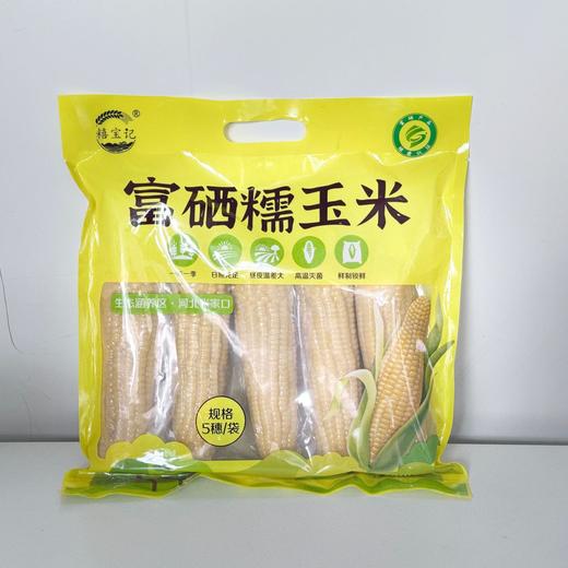 糦宝记富硒玉米5穗/袋（单穗220g左右） 商品图1