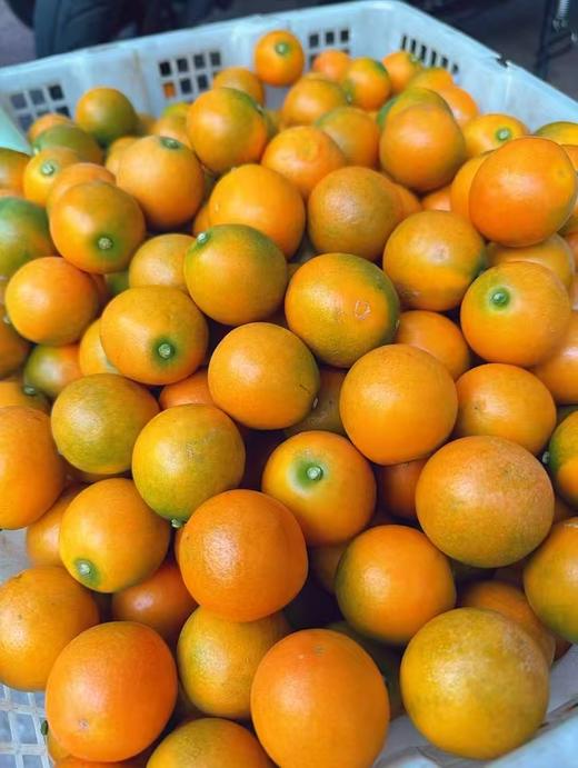 大凉山脆蜜金柑 自然农法 核心产区 皮薄嫩甜 纯甜无籽 好吃惊艳 不催熟不抛光不打蜡I百里食 商品图1