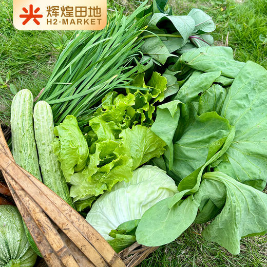 兰菇良应季生态蔬菜盲盒5斤/7斤礼盒装 商品图4