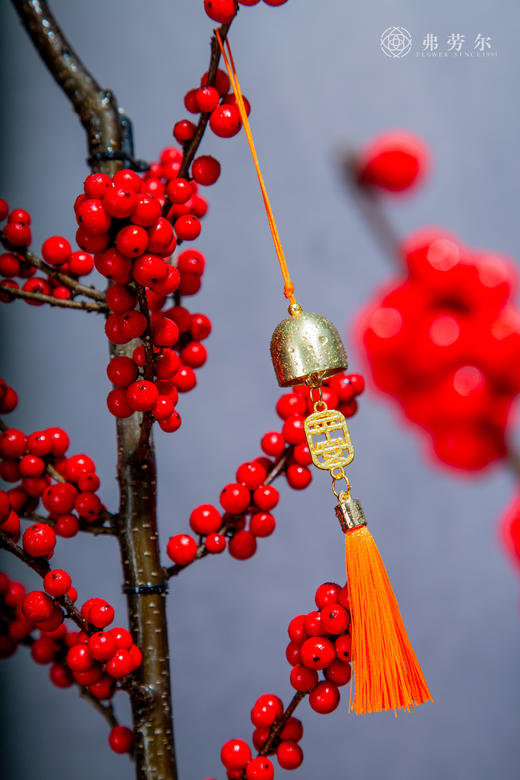 一路长虹 商品图1