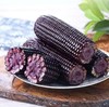 糦宝记富硒玉米5穗/袋（单穗220g左右） 商品缩略图4