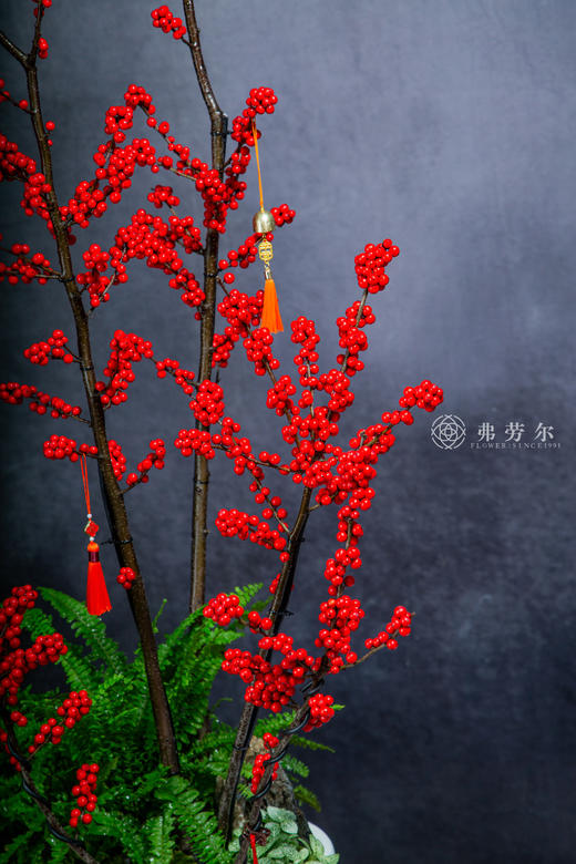 一路长虹 商品图3