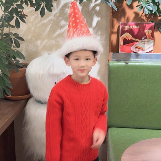 【康赛妮纱线20712亲子系列】火桐hooton 鸿运当头 山羊绒儿童套头衫24A725 商品图2