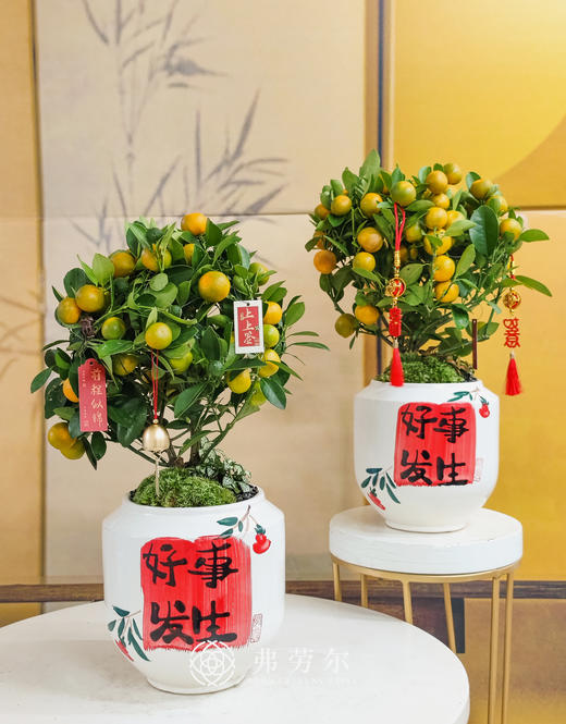 JT大吉大利 商品图1