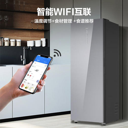 海尔（Haier）【零下40度】立式冰柜风冷无霜超低温抑菌冷藏冷冻切换一级能效抽屉式单门冰箱 【秘境银228升】 228WGHS1U1-智能物联 丨黑金抗菌净化 商品图8