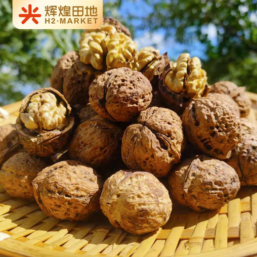 云南生态古树干核桃3斤装/5斤装 商品图0