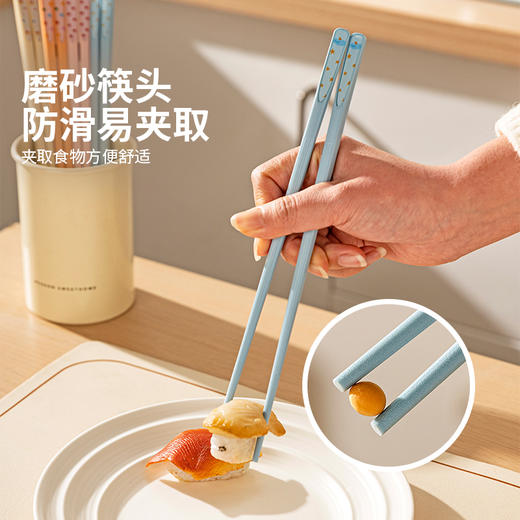 摩登主妇动物派对筷子家用高档抗菌防霉分人家庭专人专用合金筷子 商品图3