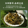 陈升号 2022年晓春357g（生茶） 商品缩略图3